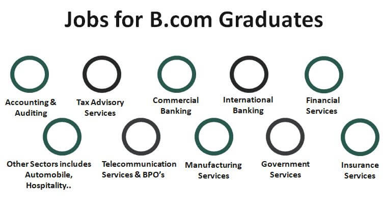 Job and Salary
