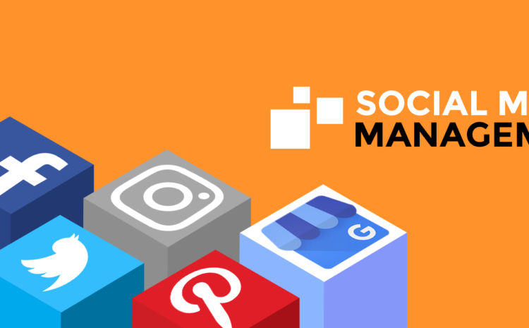  How to become Social Media Manager?