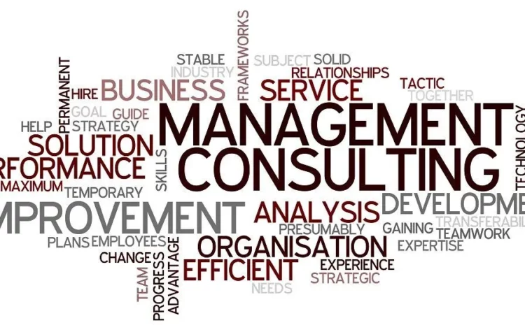  How to become Management Consultant?