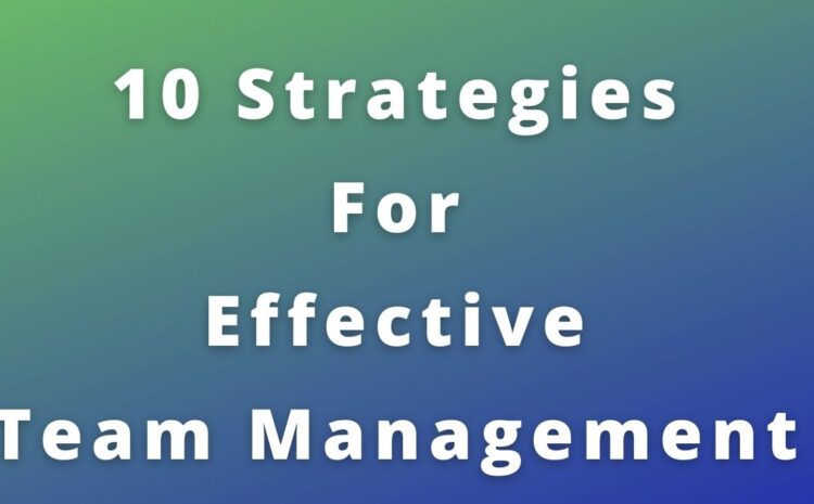  Effective strategies for managing a team