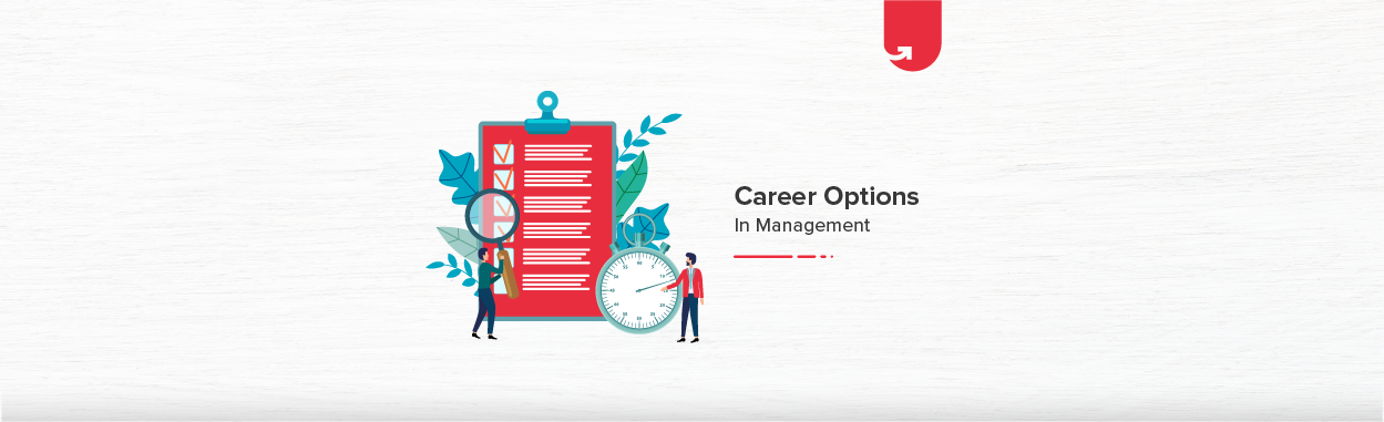 Top 7 Career Options in Management To Choose