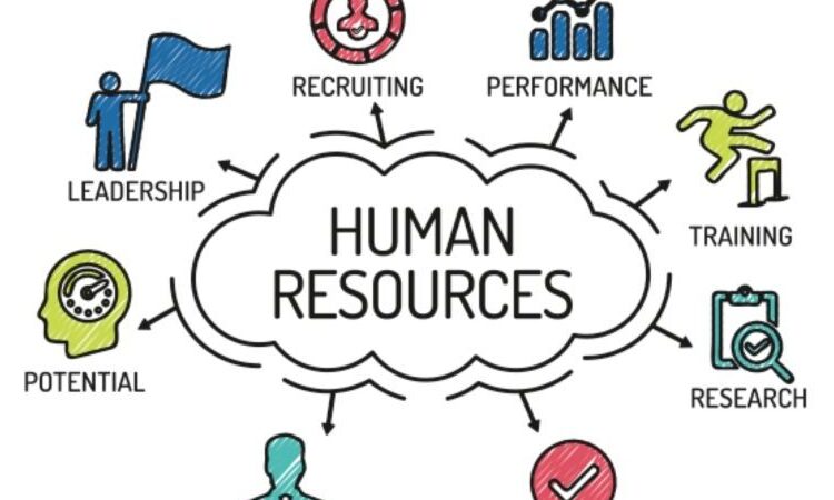  Human Resources In India