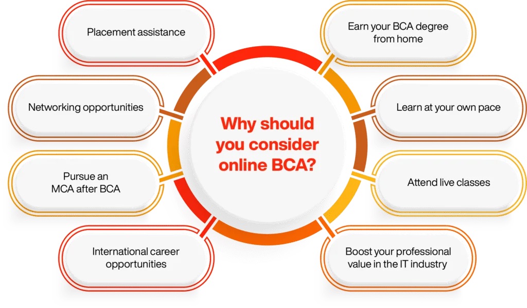 Why Choose BCA in Distance Education at UCC?